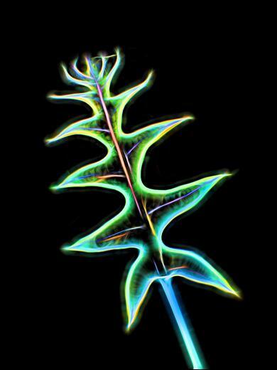 Thumbnail for original image