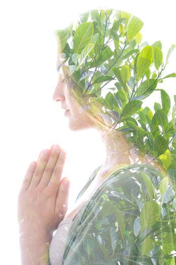 Thumbnail for original image