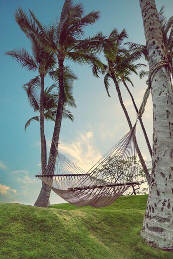 Thumbnail for original image