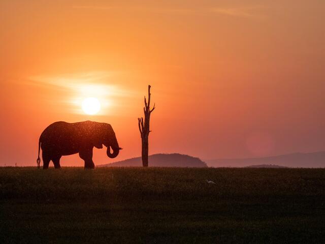 Thumbnail for original image