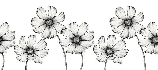 Thumbnail for original image