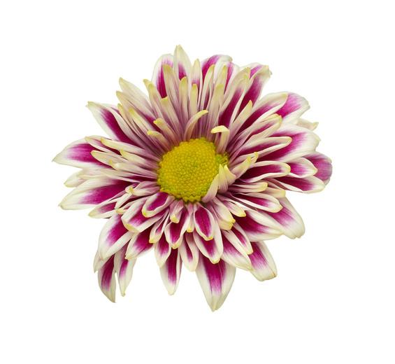 Thumbnail for original image