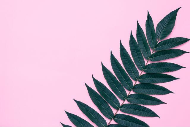 Thumbnail for original image