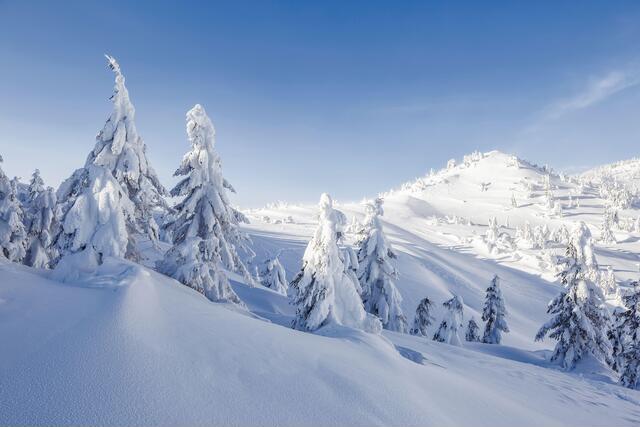 Thumbnail for original image