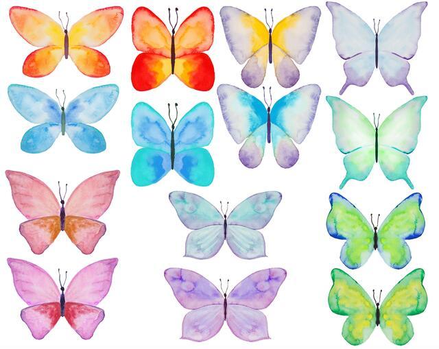 Thumbnail for original image