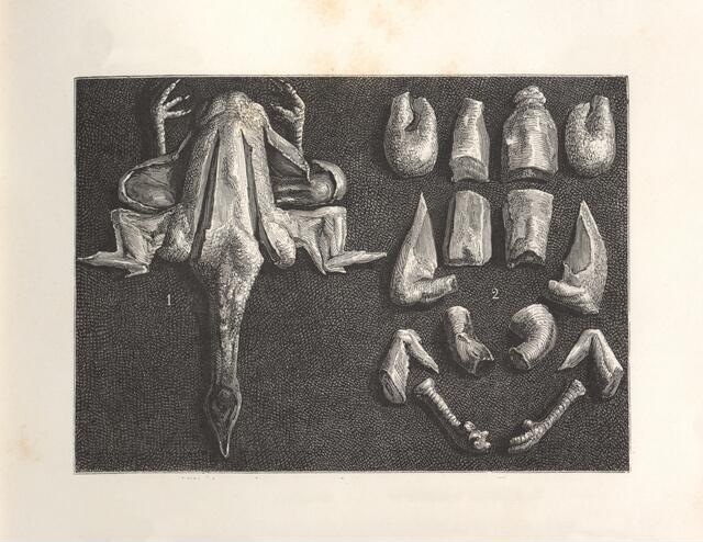 Thumbnail for original image