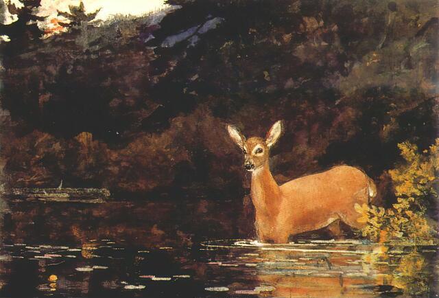 Thumbnail for original image