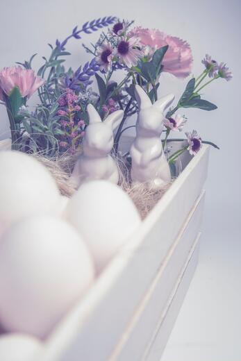 Thumbnail for original image