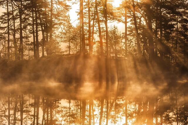 Thumbnail for original image