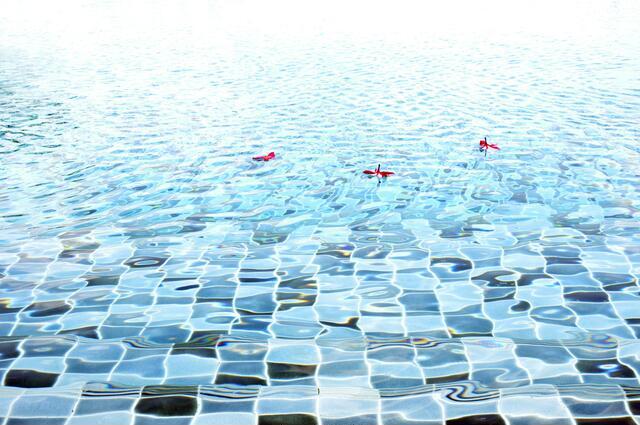 Thumbnail for original image