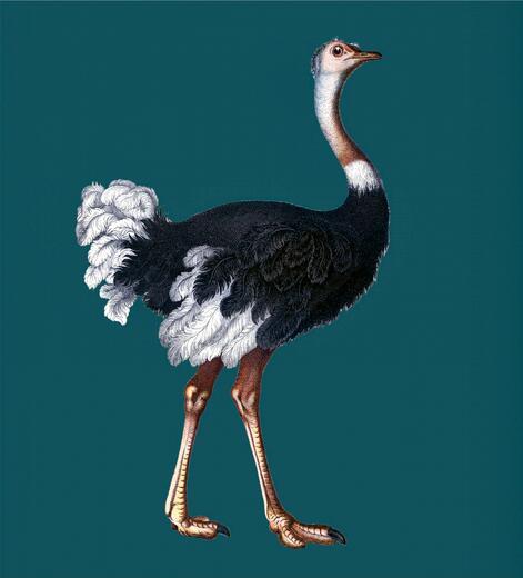 Thumbnail for original image