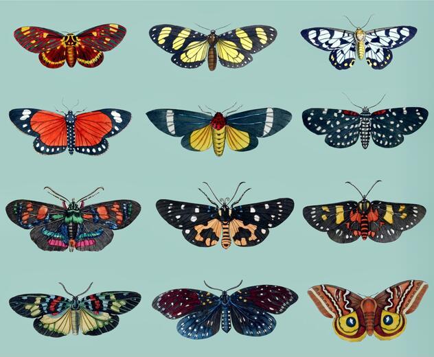 Thumbnail for original image