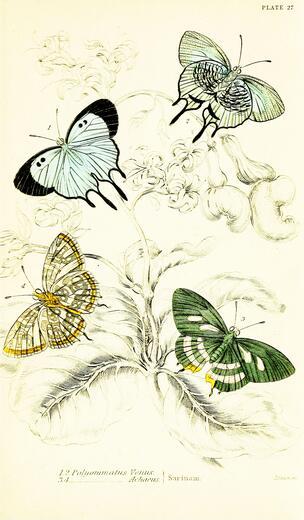 Thumbnail for original image