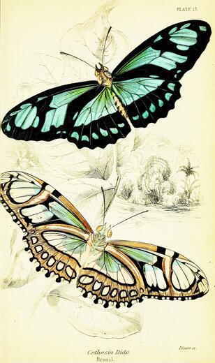 Thumbnail for original image