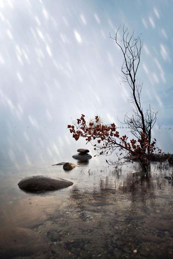 Thumbnail for original image