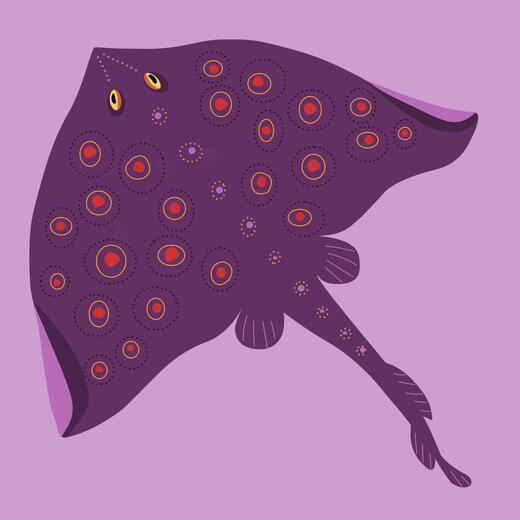 Thumbnail for original image