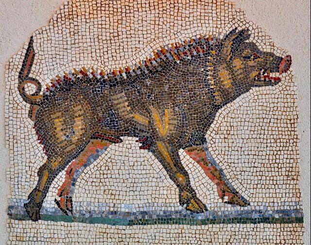 Thumbnail for original image