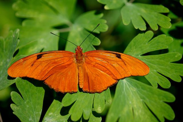 Thumbnail for original image