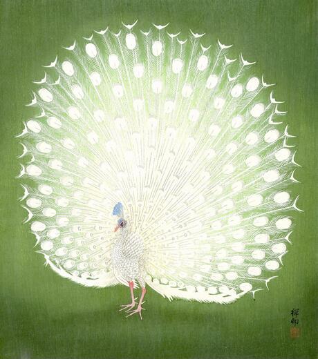 Thumbnail for original image