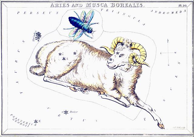 Thumbnail for original image