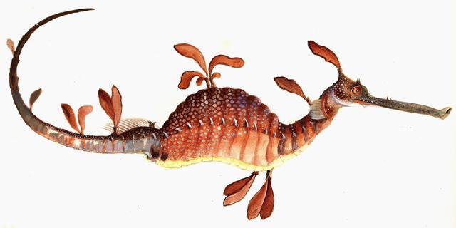 Thumbnail for original image