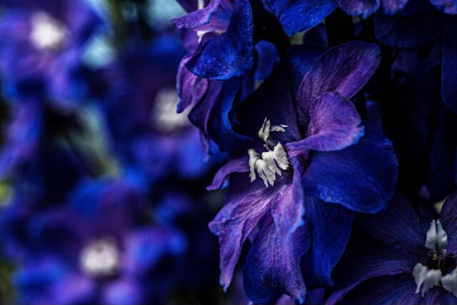 Thumbnail for original image