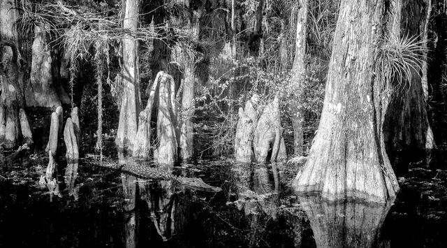 Thumbnail for original image