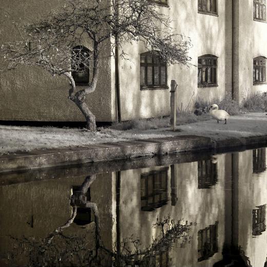 Thumbnail for original image