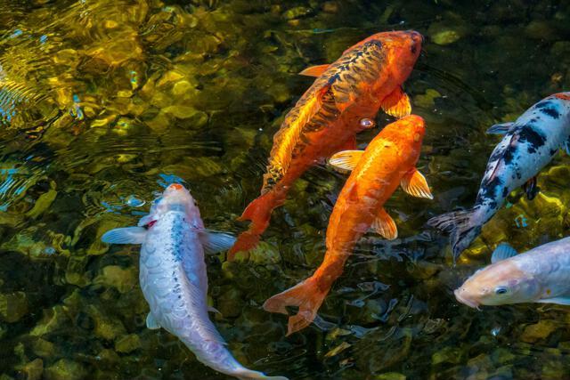 Thumbnail for original image