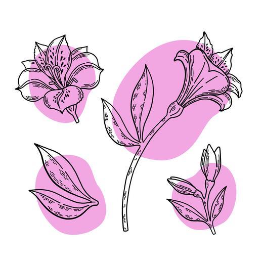 Thumbnail for original image