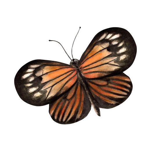 Thumbnail for original image