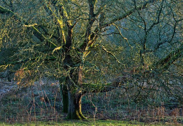 Thumbnail for original image