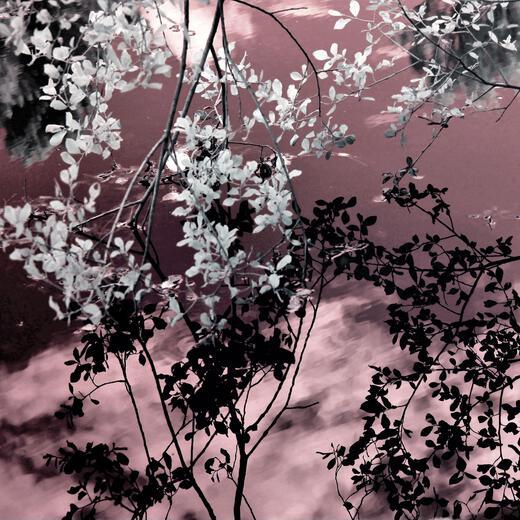 Thumbnail for original image