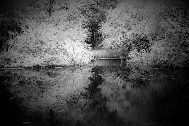 Thumbnail for original image