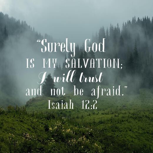 Thumbnail for original image