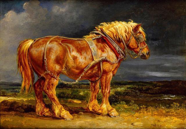 Thumbnail for original image