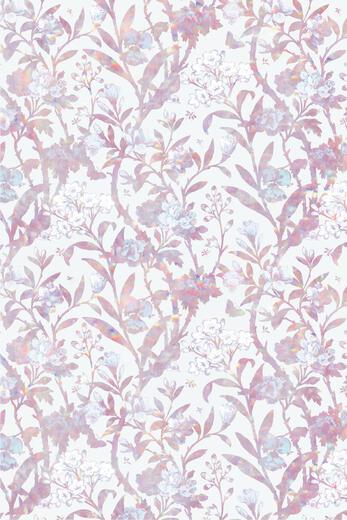 Thumbnail for original image