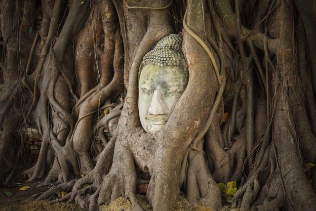 Thumbnail for original image