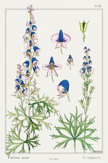 Thumbnail for original image