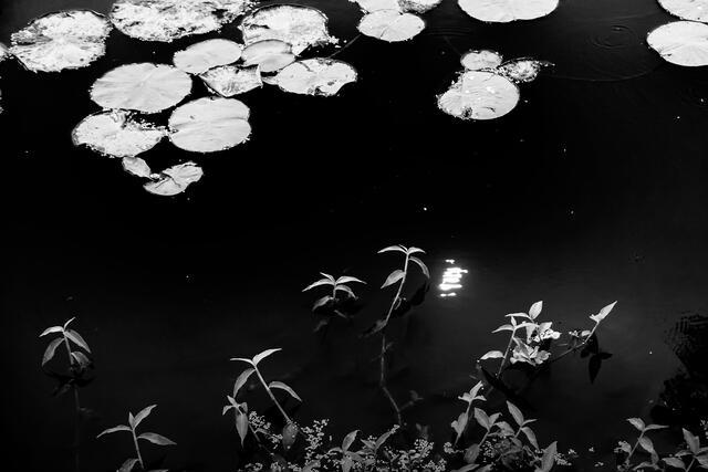 Thumbnail for original image