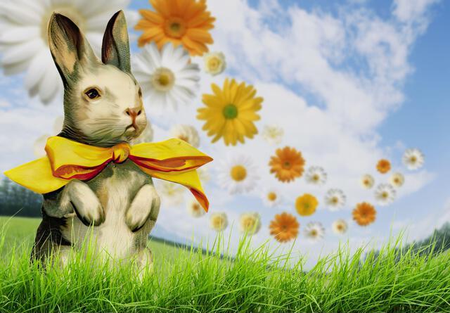 Thumbnail for original image