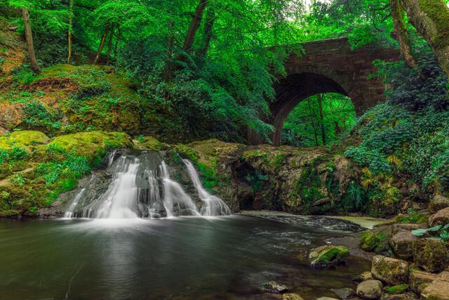 Thumbnail for original image