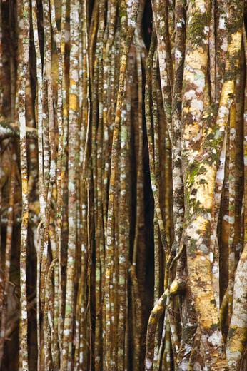 Thumbnail for original image