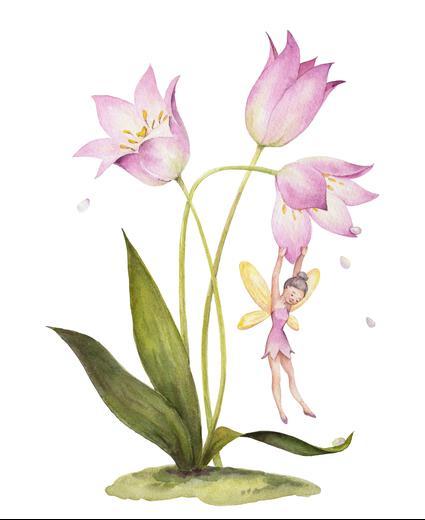 Thumbnail for original image