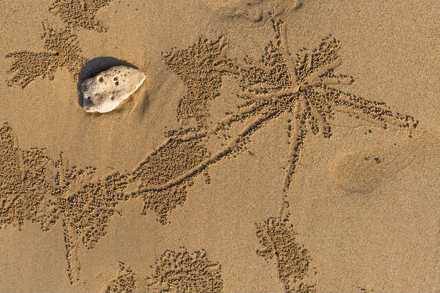 Thumbnail for original image