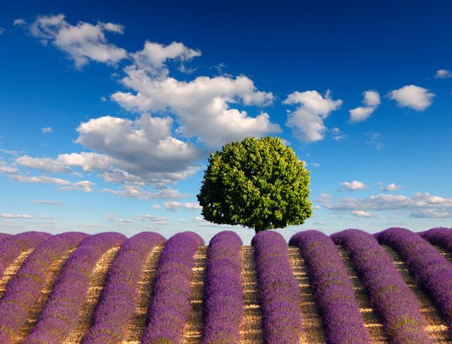 Thumbnail for original image