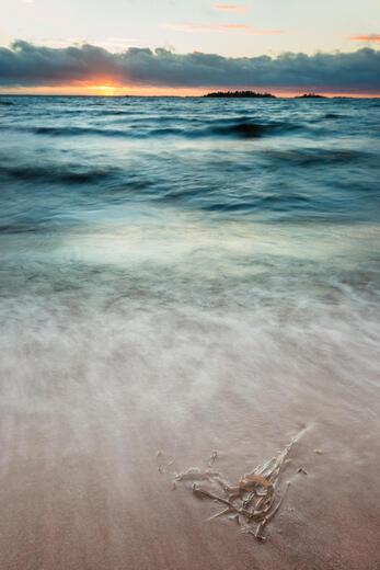 Thumbnail for original image