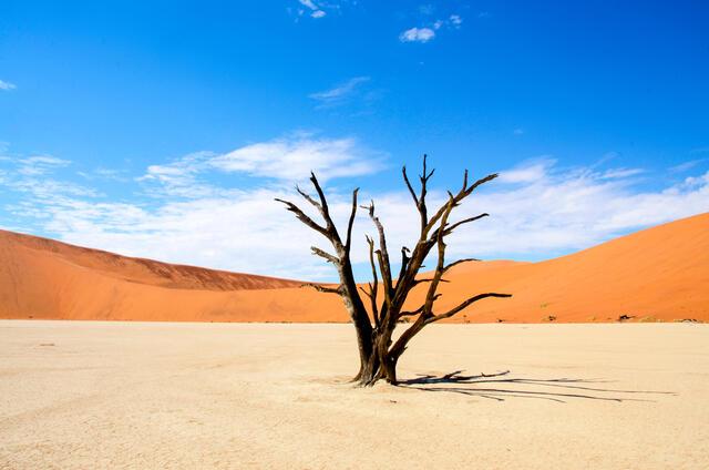 Thumbnail for original image