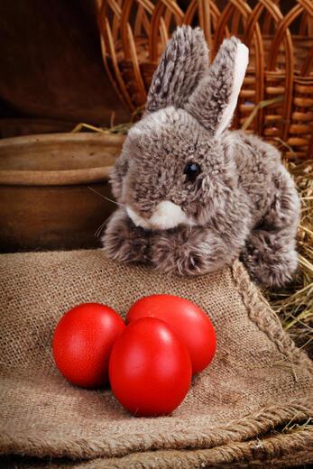 Thumbnail for original image